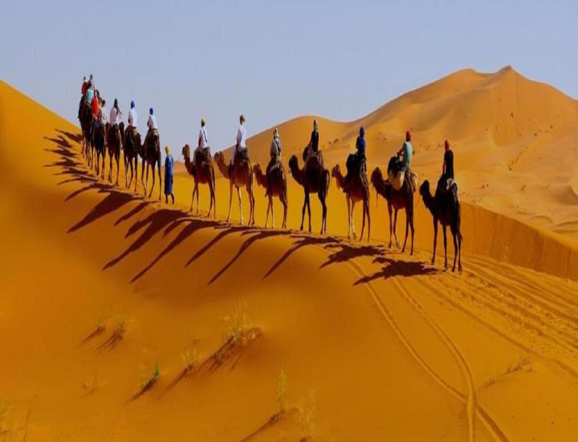 Camel Bivouac Merzouga Eksteriør billede