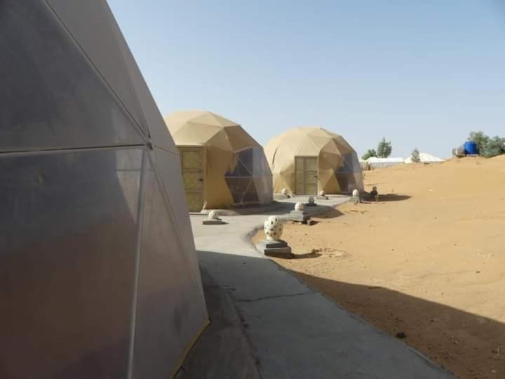 Camel Bivouac Merzouga Eksteriør billede